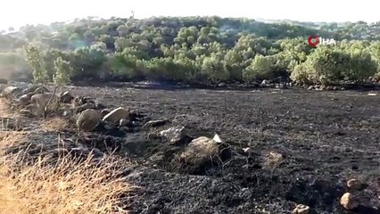 Siverek’te ormanlık alanda yangın