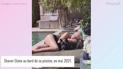 Sharon Stone au naturel : à 63 ans, elle s'illustre en bikini !