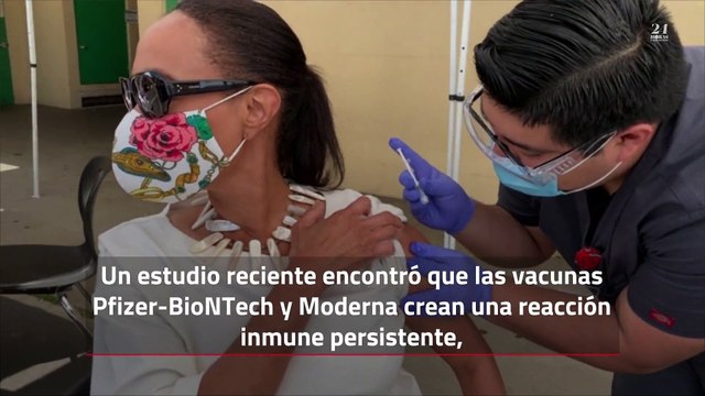 Las vacunas Pfizer y Moderna probablemente produzcan inmunidad duradera, según un estudio