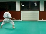 karate kata goju shi ho sho