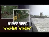 Cyclone Tauktae Weakens After Landfall At Gujarat Coast