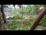 Cyclone Tauktae Wreaks Havoc In Goa