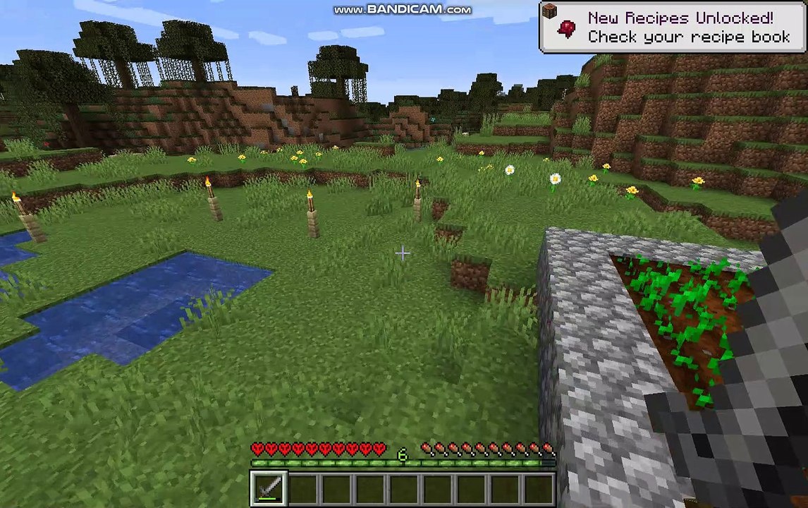 Minecraft Hardcore odc.11