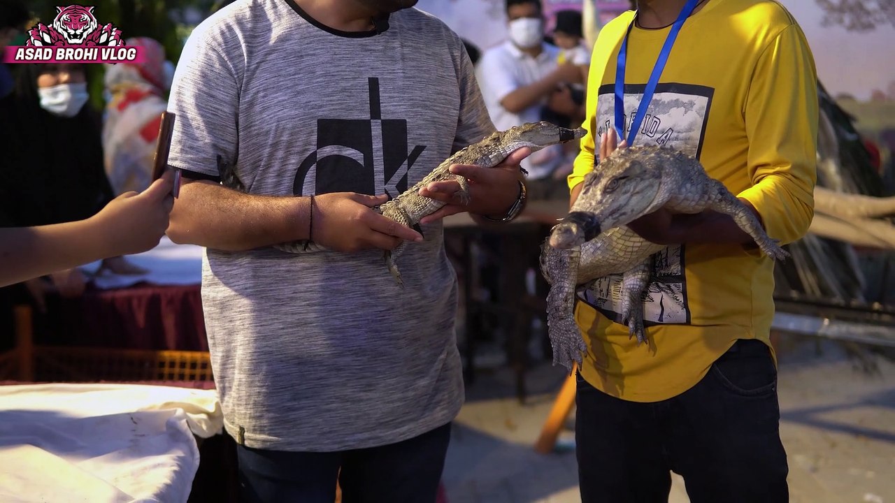 pet show at expo centere (Asad Brohi vlog)