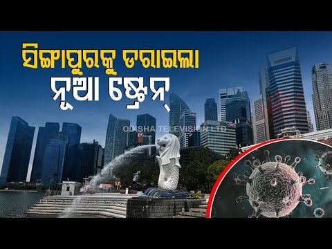 Singapore Warns New Virus Strains Infecting More Children, Shuts Schools