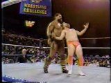 Barbarian vs. Jobber [1990-07-01]