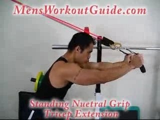 Exercise of the Day: Standing Neutral Grip Tricep Extension