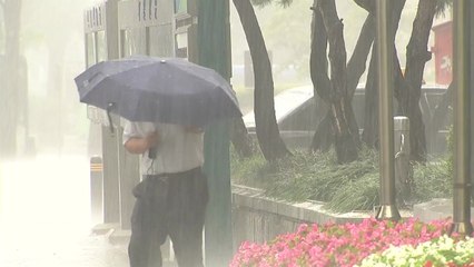 [날씨] 오늘도 요란한 소나기...주 후반 제주 장맛비 / YTN