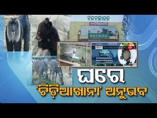 Virtual Tour Of Nandankanan Zoo While Sitting Inside Home | Odisha