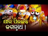 Watch- Devotees Offer Milk To Lord Jagannath, Siblings In Odisha