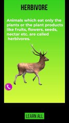 food where does it come from, types of animals, class 6 science