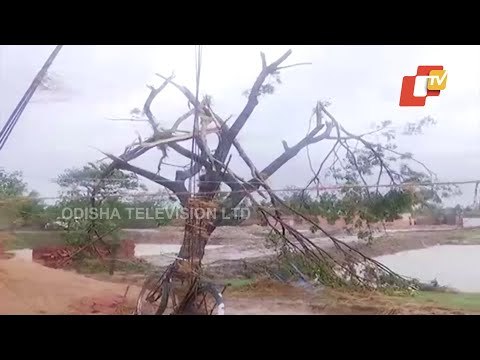 Cyclone Yaas Approaching Towards Odisha- Destruction Visuals From Kendrapara