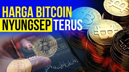 Benarkah Investasi Kripto itu Haram? Ini Kata Yenny Wahid