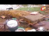 Destruction Begins In Kendrapara Hours Before Landfall Of Cyclone Yaas