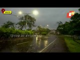 Trees Uprooted Due To Cyclone Yaas In Paradip | Odisha