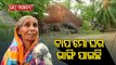 Elderly Woman Breaks Down While Narrating How Cyclone Yaas Damaged Her House At Dhamra In Bhadrak