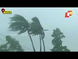 Cyclone Yaas | Strong Winds & Rainfall Hit Odisha's Balasore