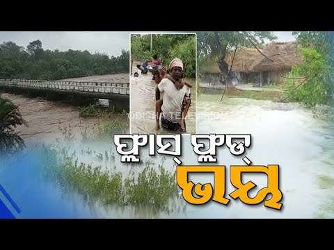 Cyclone Yaas Causes Extensive Damage In Mayurbhanj