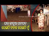 People Suffer As Cyclone Yaas Causes Extensive Damage In Balasore