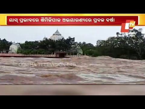 Cyclone Yaas | Simlipal Receives Heavy Rainfall, Riverwater Enters Many Nearby Villages