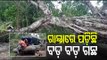 Many Villages Inundated, Trees Uprooted In Nilagiri Area After Cyclone Yaas