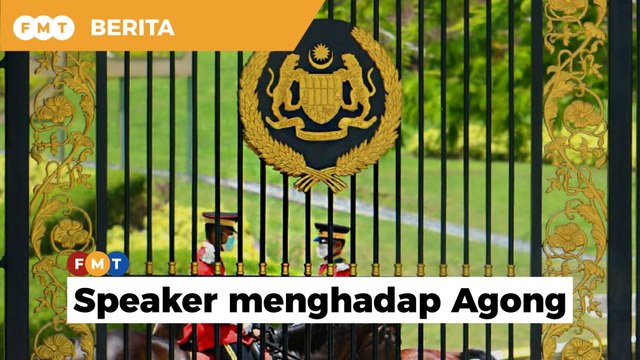 Speaker Dewan Rakyat, Presiden Dewan Negara menghadap Agong
