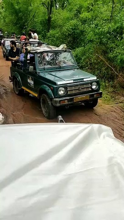 डायरेक्टर के बेटे- रिश्तेदारों से टाइगर और कर्मचारी परेशान