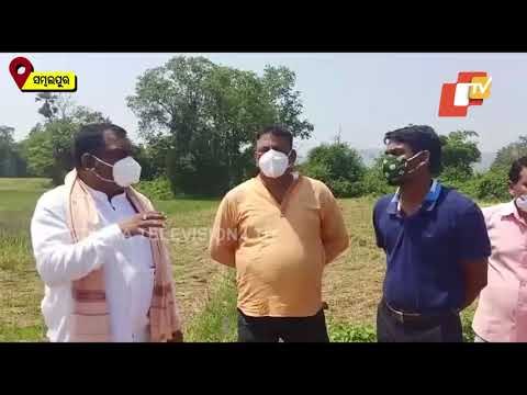 Sambalpur MLA Alleges Negligence To Farmers After Extensive Damages Following Cyclone Yaas