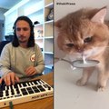 Numnum cat : un nouveau remix inspiré d'une léchouille  de chat