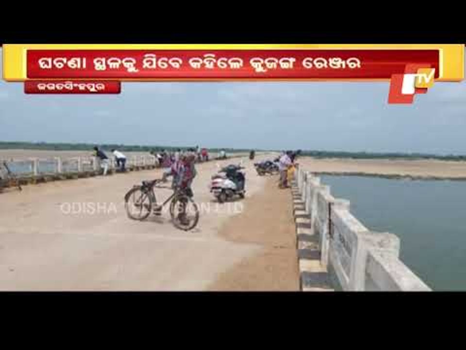 10-Feet Long Crocodile Spotted In Devi River In Jagatsinghpur