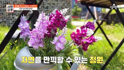 [선공개] 진가는 밤이 되면 나타난다? 힐링을 찾는 사람들이 모여든다