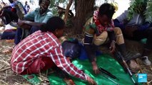 Conflit au Tigré en Ethiopie : les rebelles reprennent le contrôle de la capitale Mekele