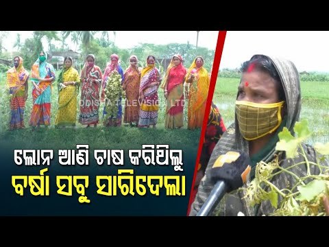 Kendrapara | Vegetable Cultivation In Acres Of Land Damaged In Rain Triggered By Cyclone Yaas