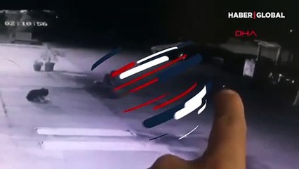 Kan donduran canilik! Yavru köpeği zehir sürülmüş mermiyle öldürdü