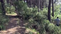 23 gündür kayıp olan gencin cesedi ormanda ağaca asıl halde bulundu