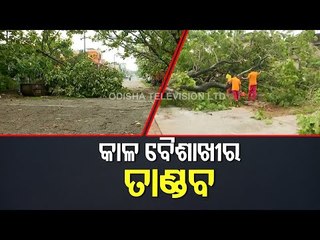Nor'Wester Hits Rourkela | Many Trees Uprooted | Odisha