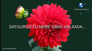 सतगुरुजी का भजन | Prem rawat bhajan | Satguruji tu mere sang hai sada bhajan | Guru maharaji bhajan | Satguru maharaji bhajans