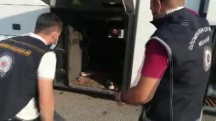 Otobüsün bagajına saklanmış 12 yabancı uyruklu yakalandı