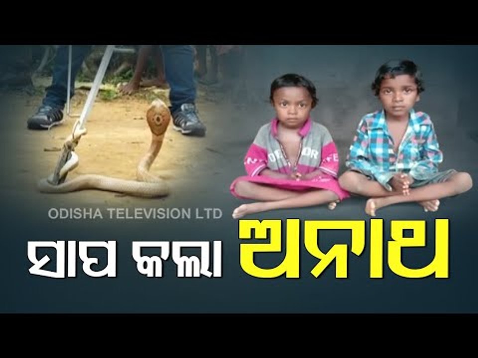 Woman Dies Of Snake Bite In Balasore