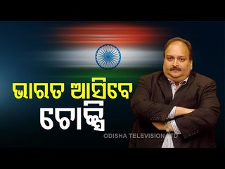 India Has Sent A Special Team To Antigua For Repatriation Of Mehul Choksi