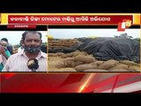 Paddy Procurement Mismanagement Alleged At Moter Mandi, Kalahandi