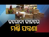 Paddy Procurement Mismanagement Alleged In Sambalpur & Kalahandi - OTV Report