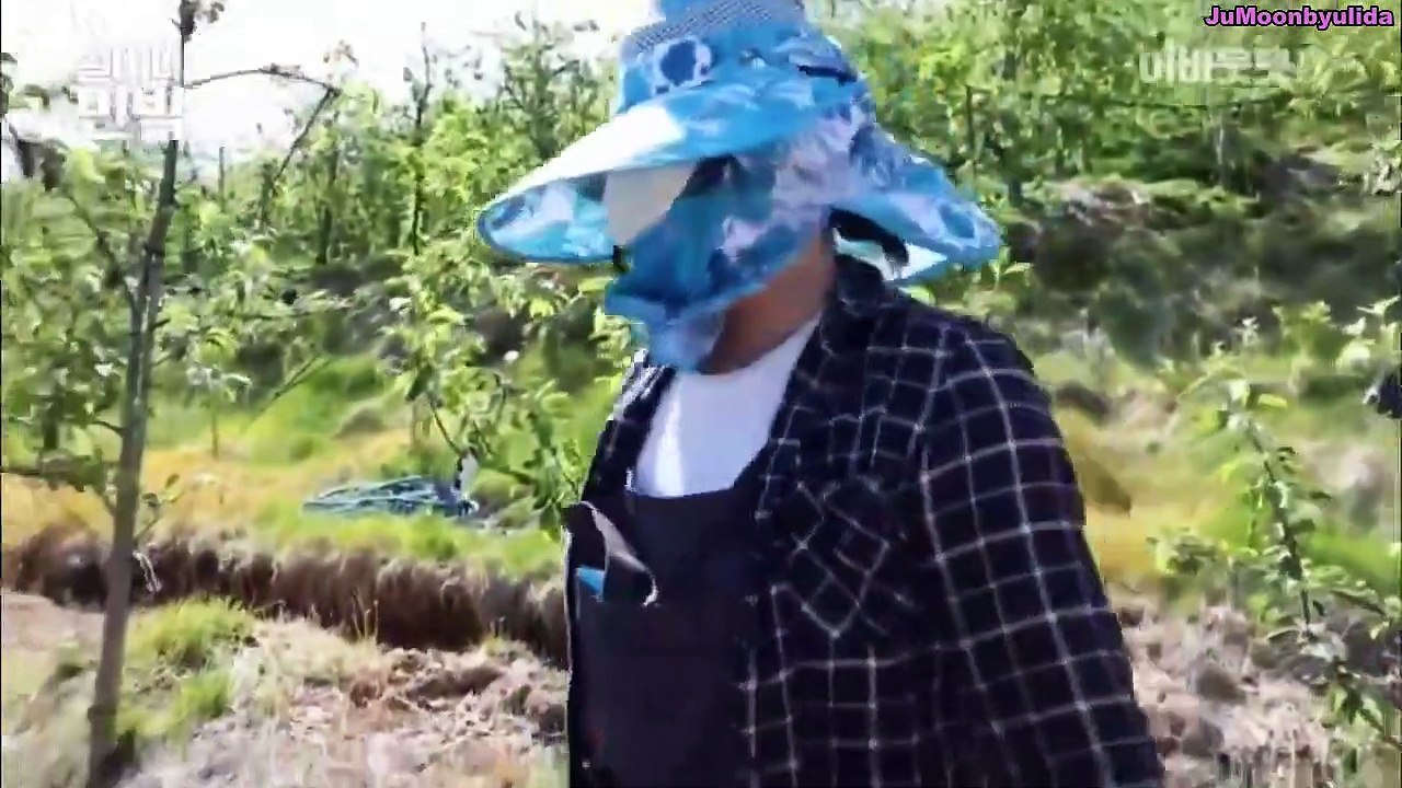 [PT-BR] EP 4 Sobre Pet - Solar e Moonbyul