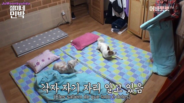 [PT-BR] EP 7 Sobre Pet - Solar e Moonbyul