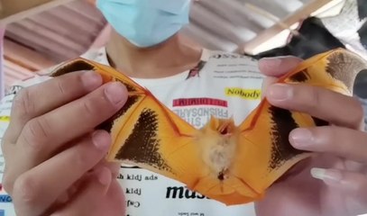 เรื่องพลบค่ำ ช่วงที่ 2  วันอังคารที่ 29 มิ.ย.64