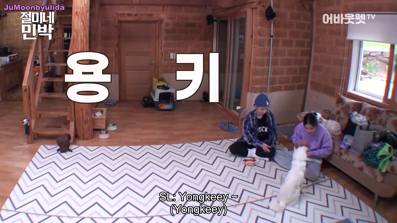 [PT-BR] EP 8(Final) Sobre Pet - Solar e Moonbyul