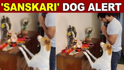 Randeep Hooda shares a glimpse of his 'sanskari' pet dog