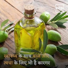 Know The Benefits Of Olive Oil