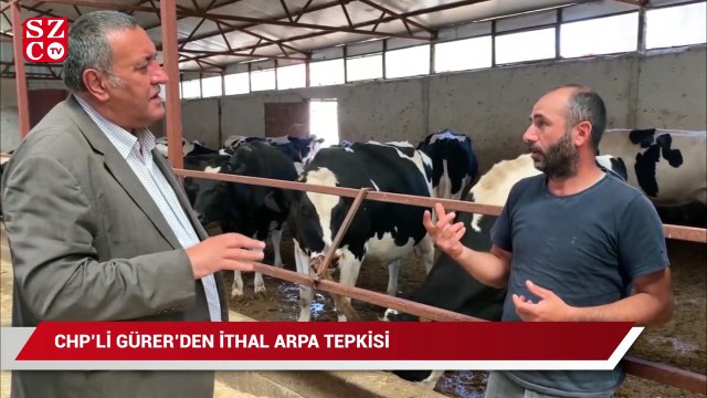 CHP'li Gürer'den ithal arpa tepkisi: Üreticiye darbe