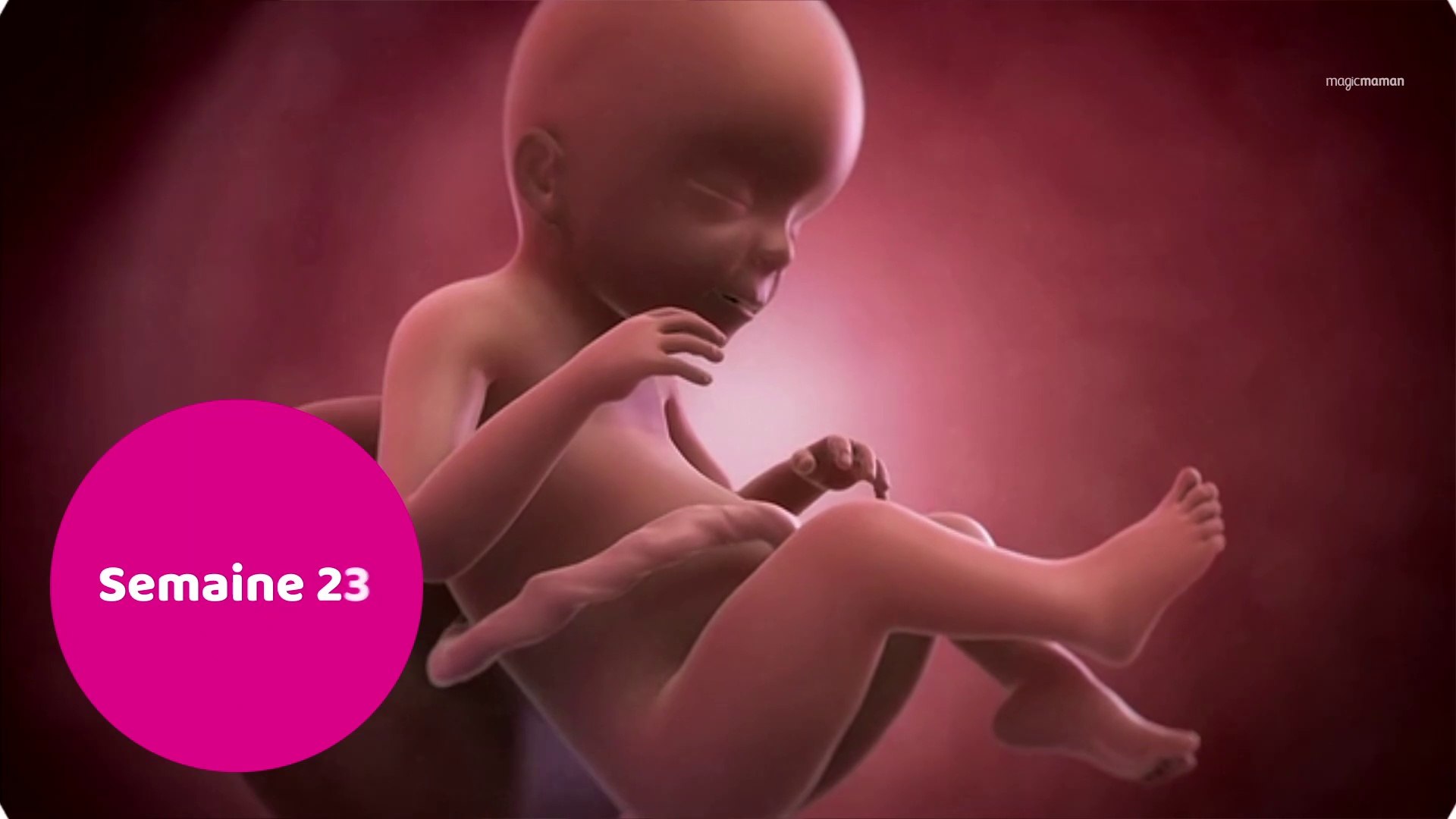 Vidéo développement du fœtus : le 6ème mois de grossesse - Vidéo Dailymotion